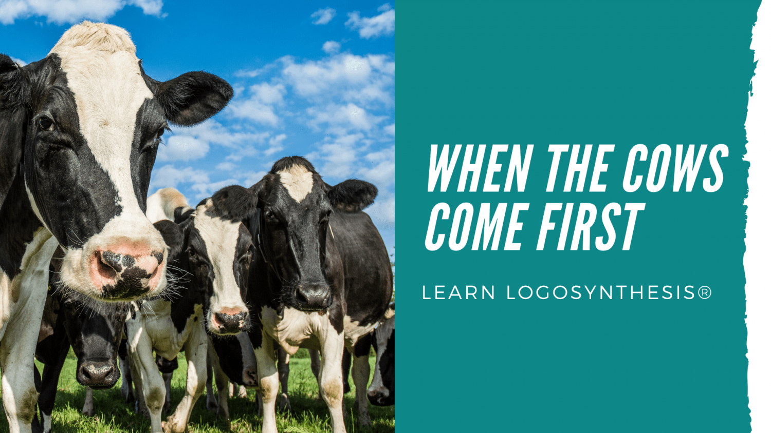 When_the_cows_come_first_logosynthesis
