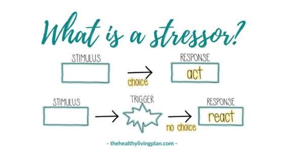 What is a stressor - The Healthy Living Plan