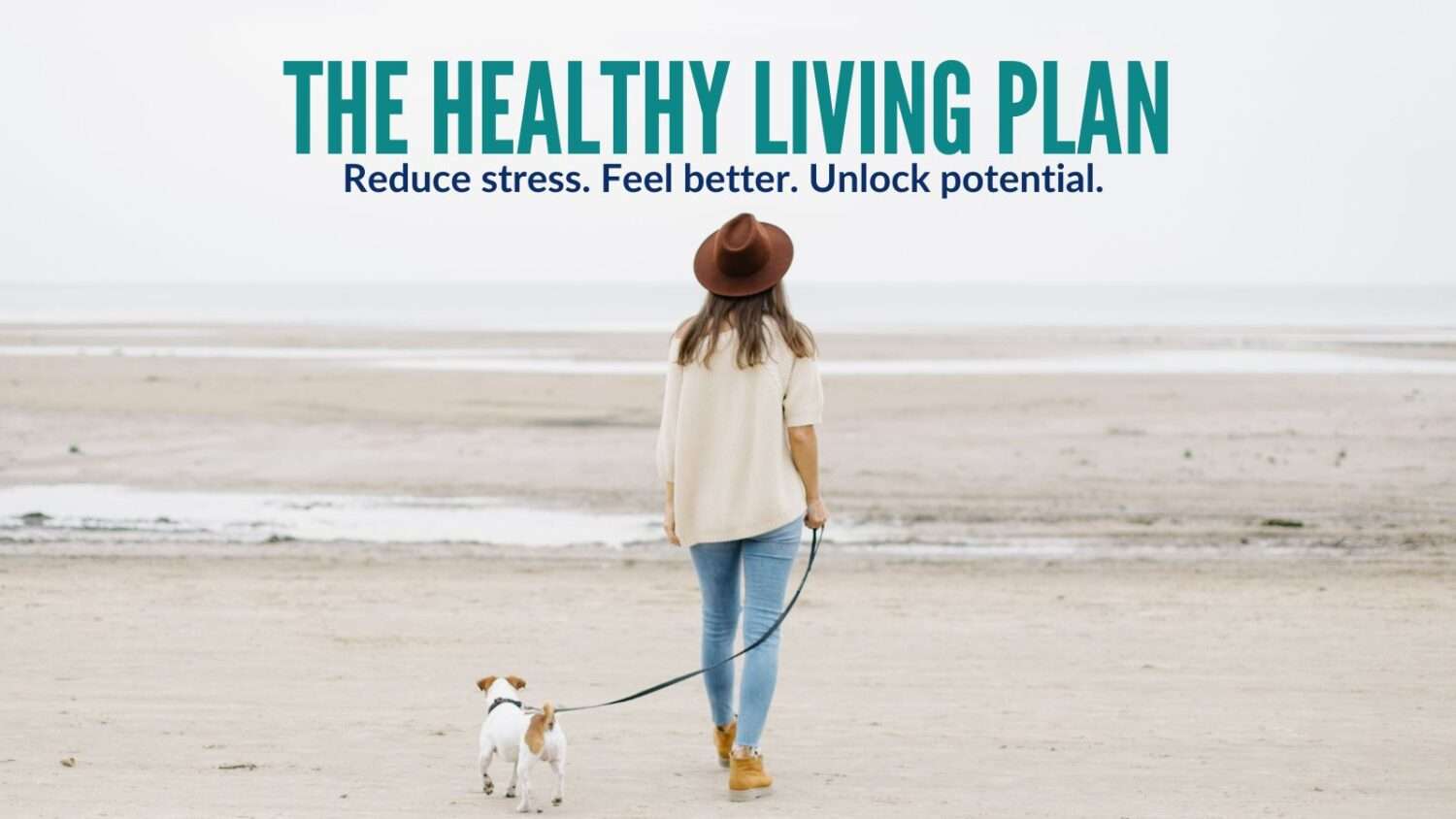 The Healthy Living Plan Reduce Stress Feel Better Unlock Potential