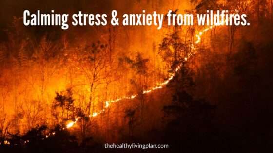 Calming stress anxiety wildfires using Logosynthesis® by Cathy Caswell
