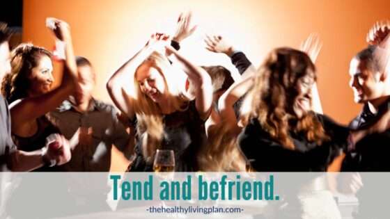 Tend and Befriend How Social behaviours under stress are misinterpreted The Healthy Living Plan Cathy Caswell