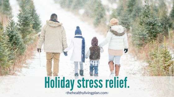 Holiday stress relief The Healthy Living Plan Logosynthesis