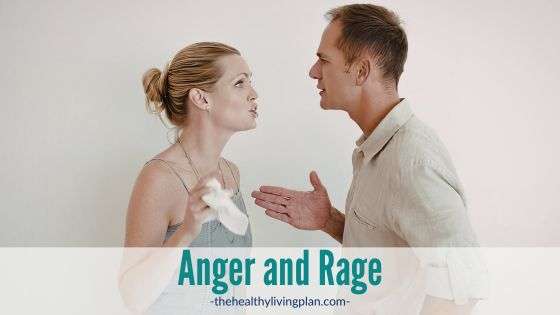 Anger and Rage Shifting These Stress Reactions for Better Outcomes using Logosynthesis Cathy Caswell The Healthy Living Plan