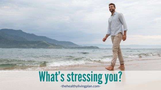 Whats stressing you The Healthy Living Plan